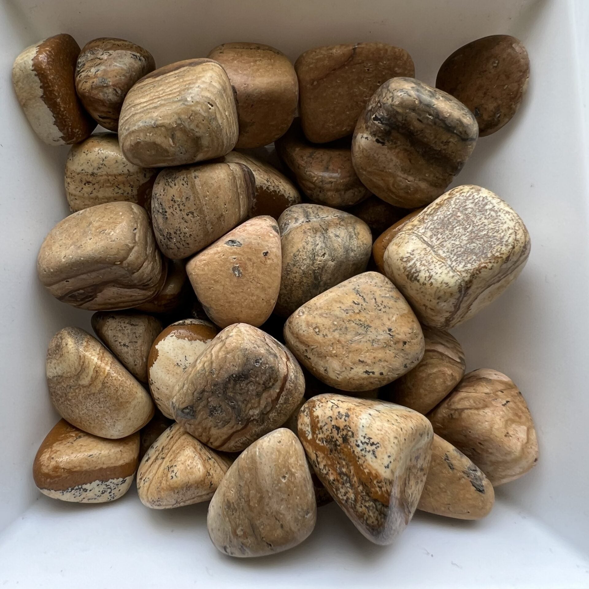 Picture Jasper Tumbles image 1