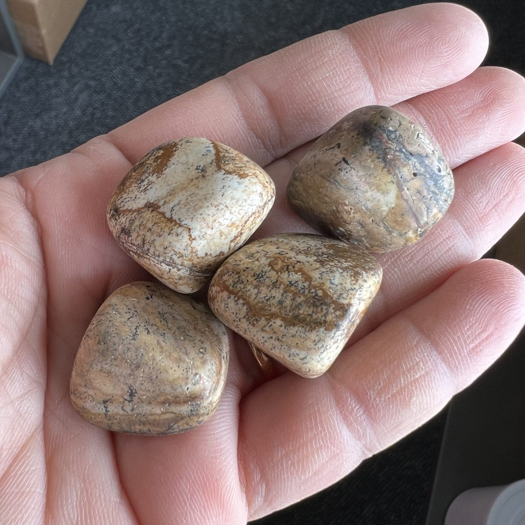 Picture Jasper Tumbles image 0