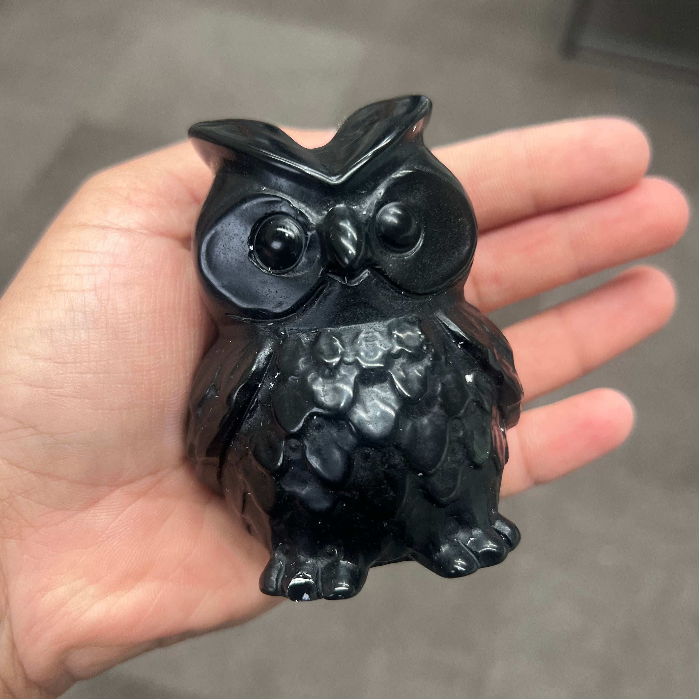 Obsidian Owl