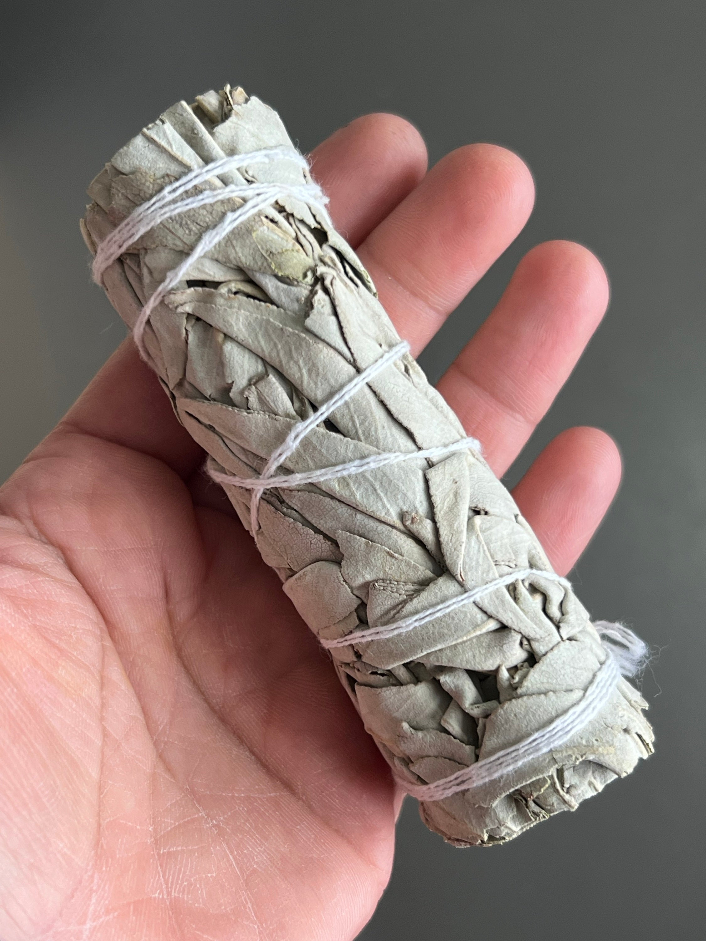 4” White Sage image 0