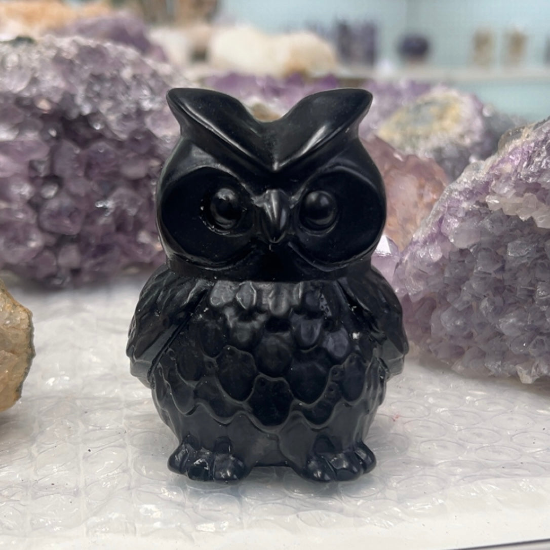 Obsidian Owl