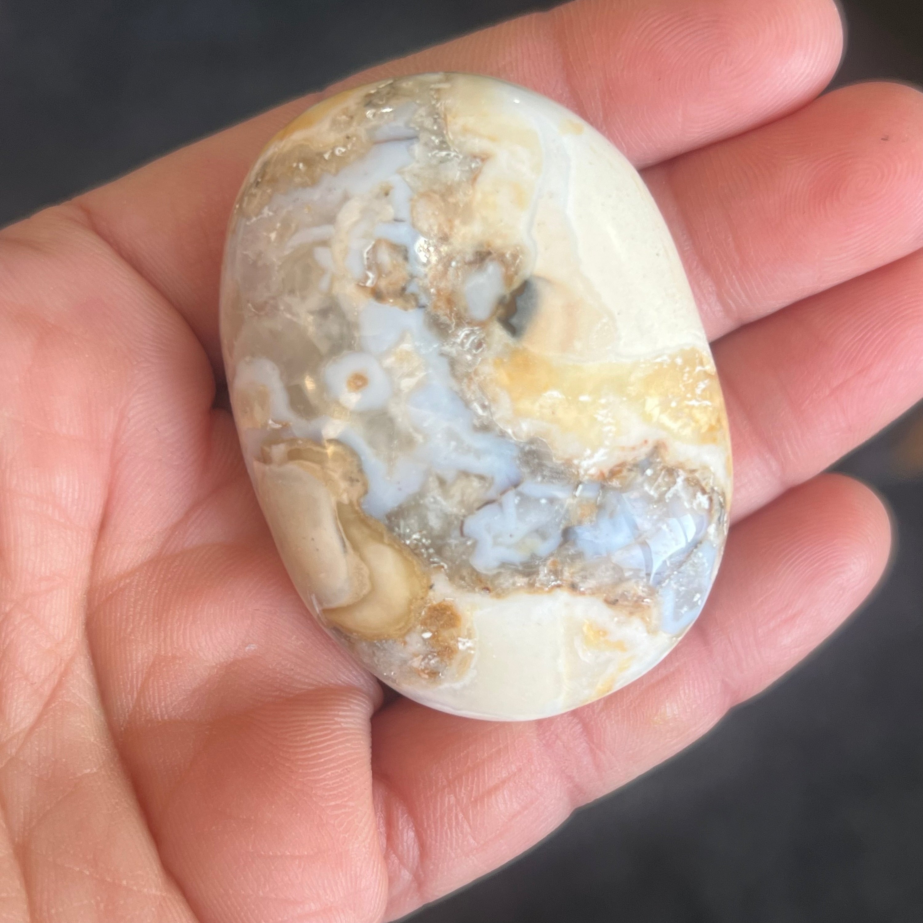 King Cobra Jasper Palmstone image 0