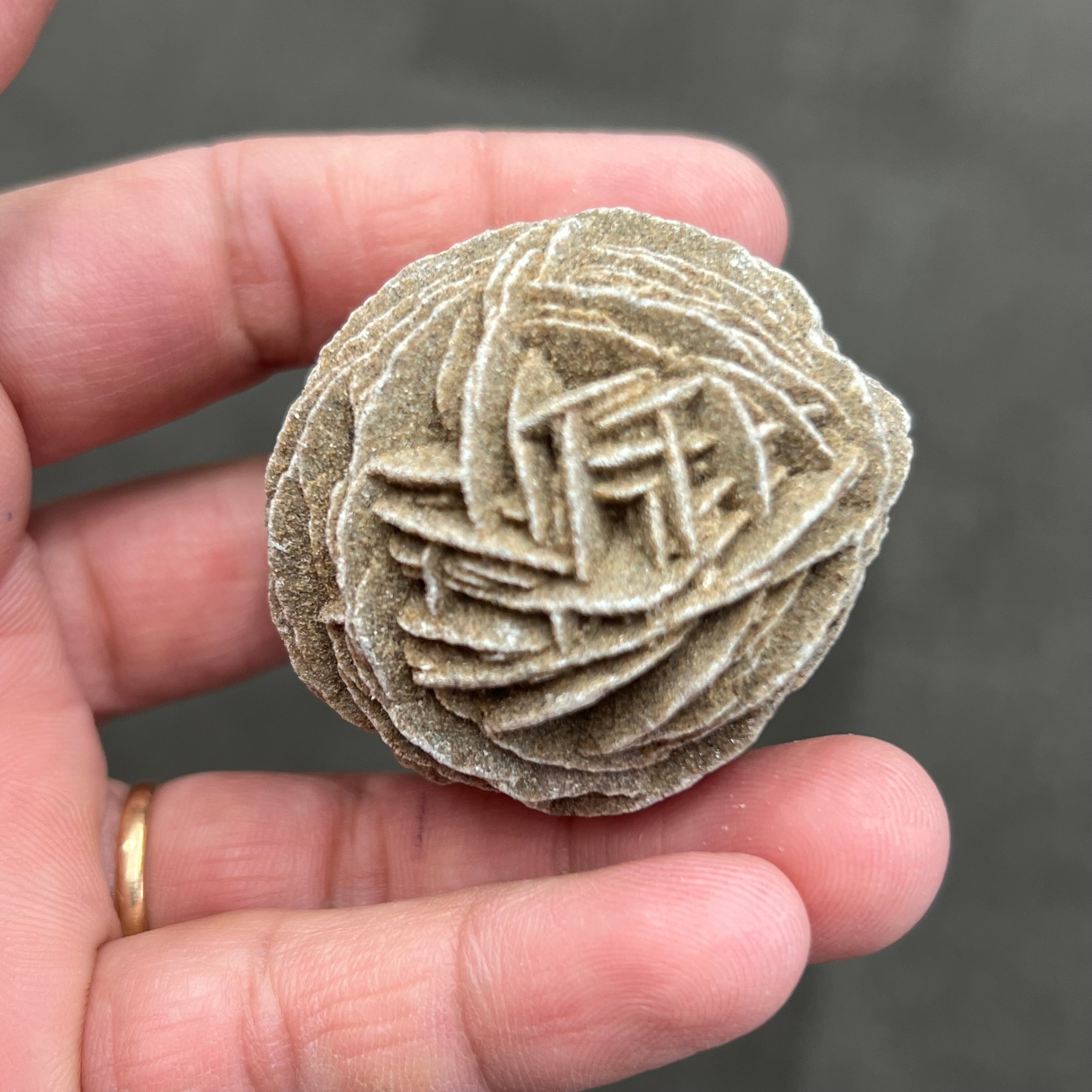 Desert Rose Natural form