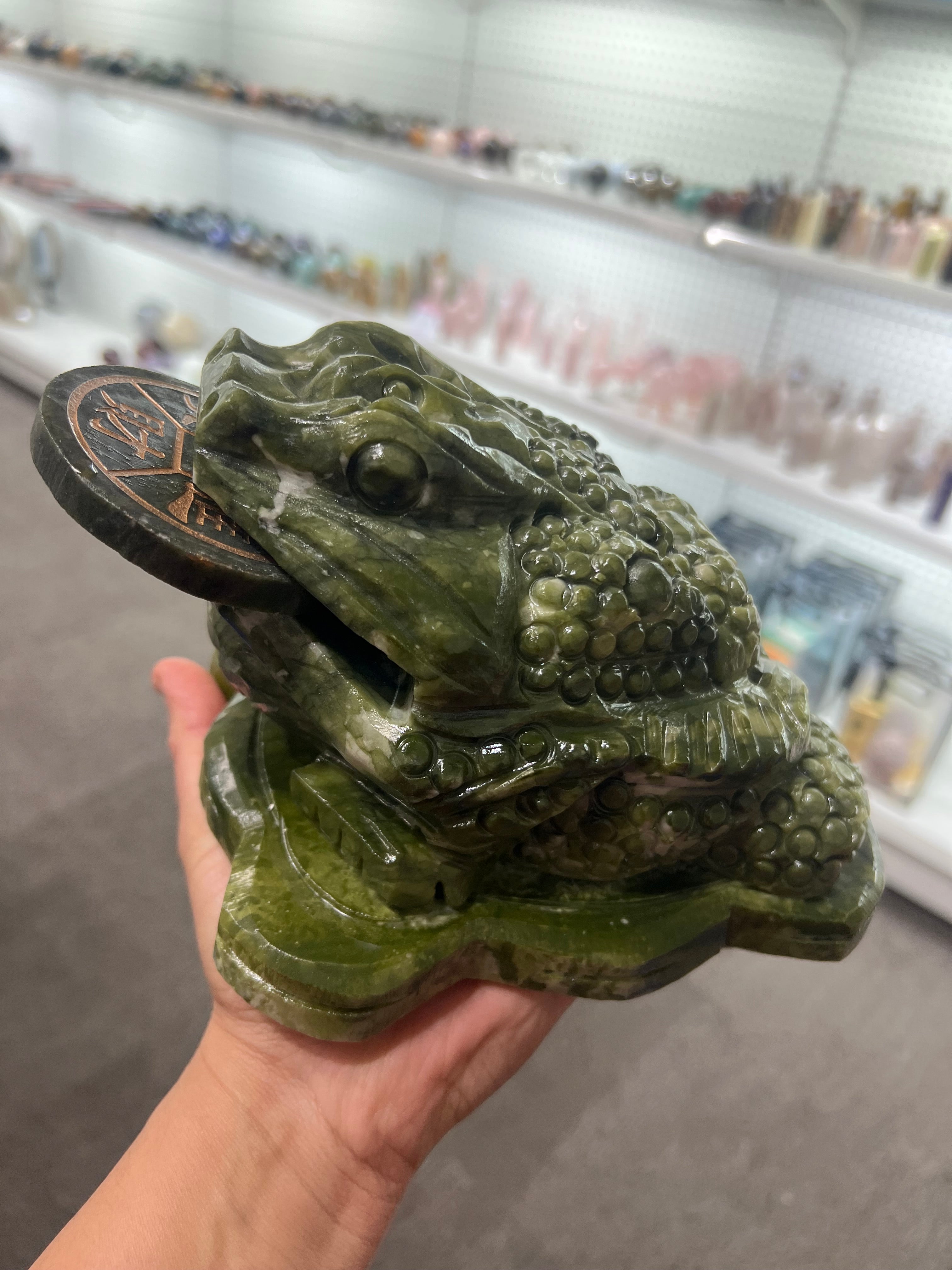 Extra large Jade Money Frog