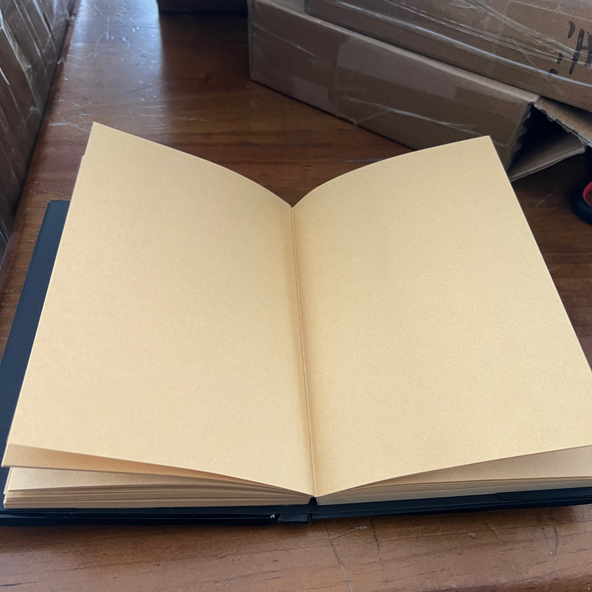 3D Embossed Dragon Eye Journal/ Notebook