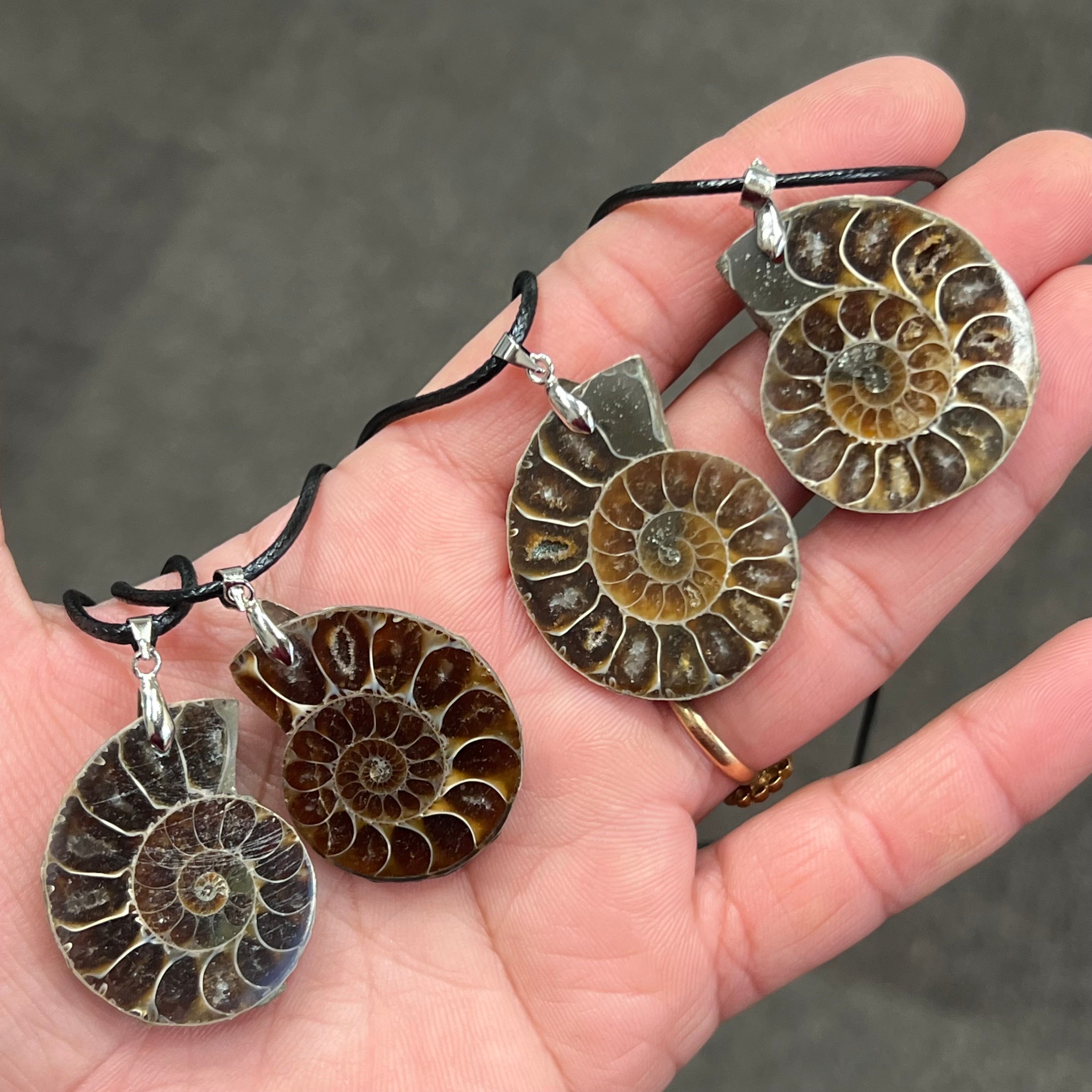 Ammonite pendant