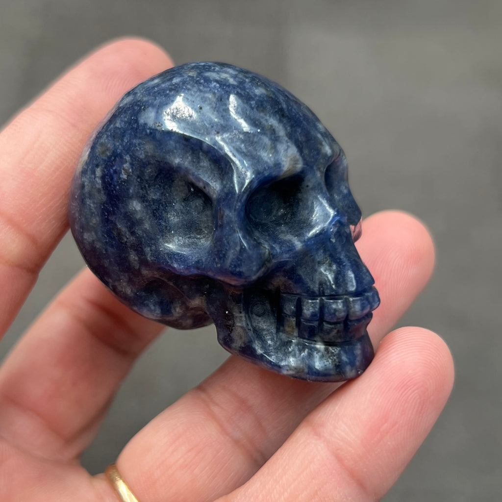 Skull - Sodalite (5cm)
