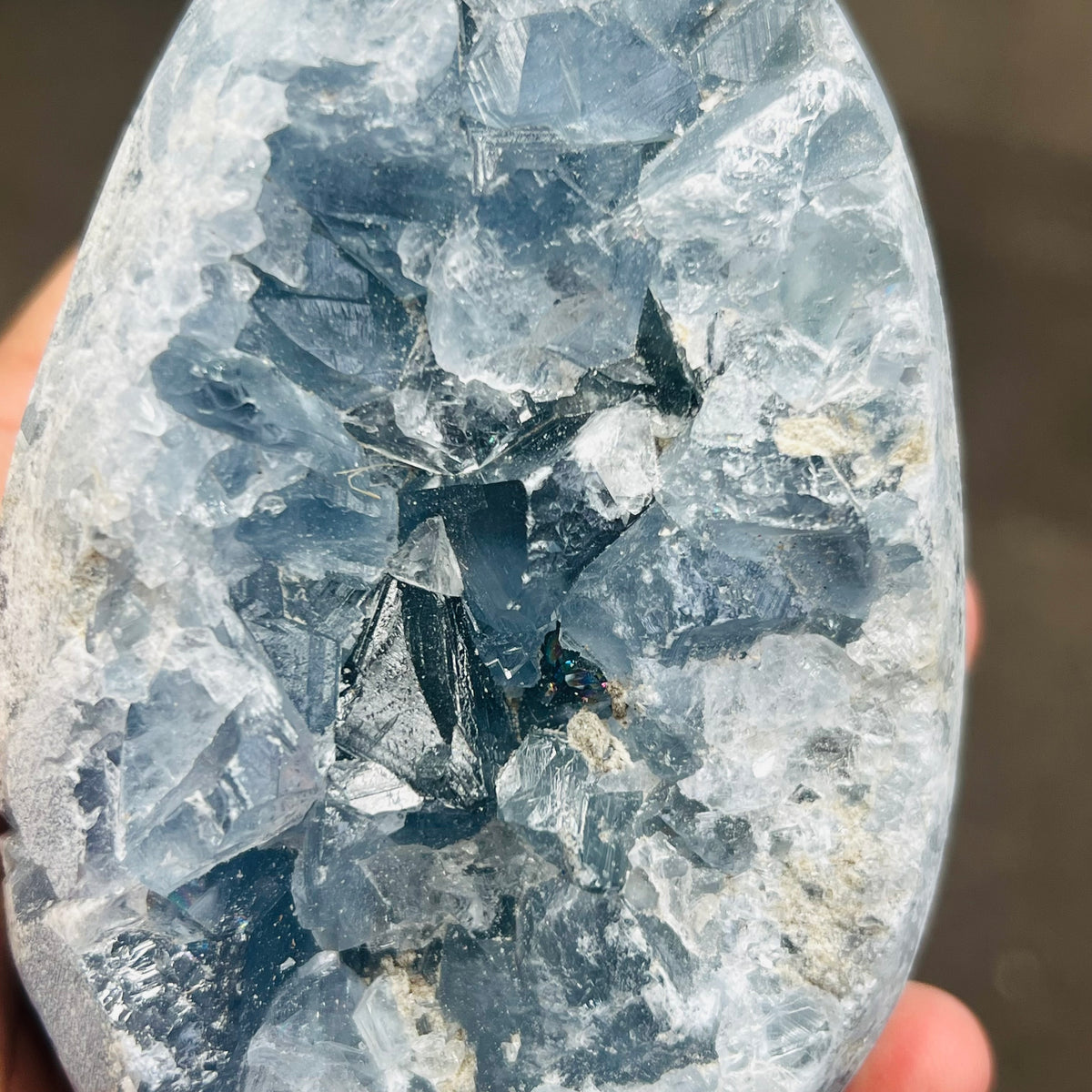 Large Celestite Egg + Stand