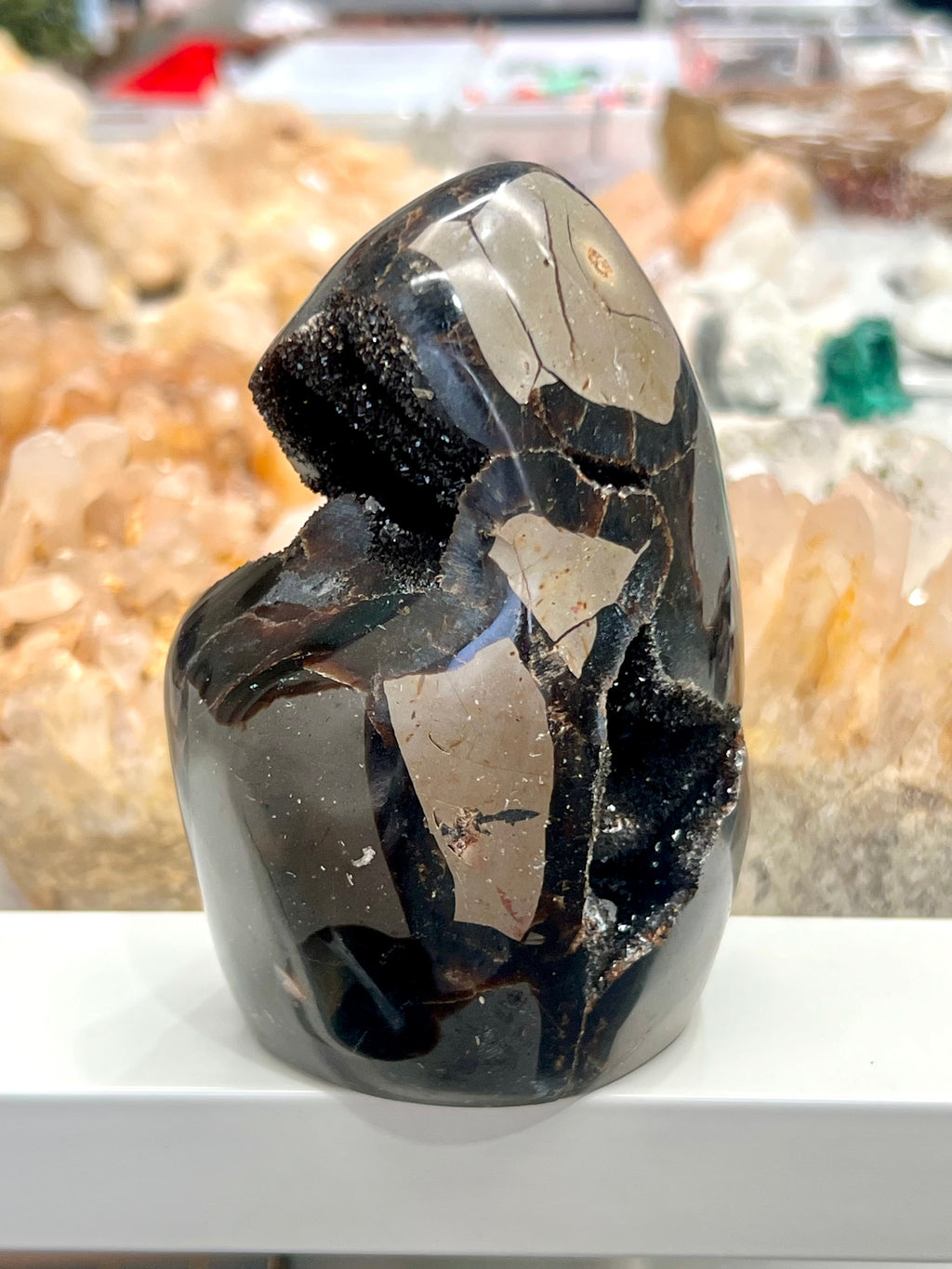 Septarian Egg / Drago’s Egg