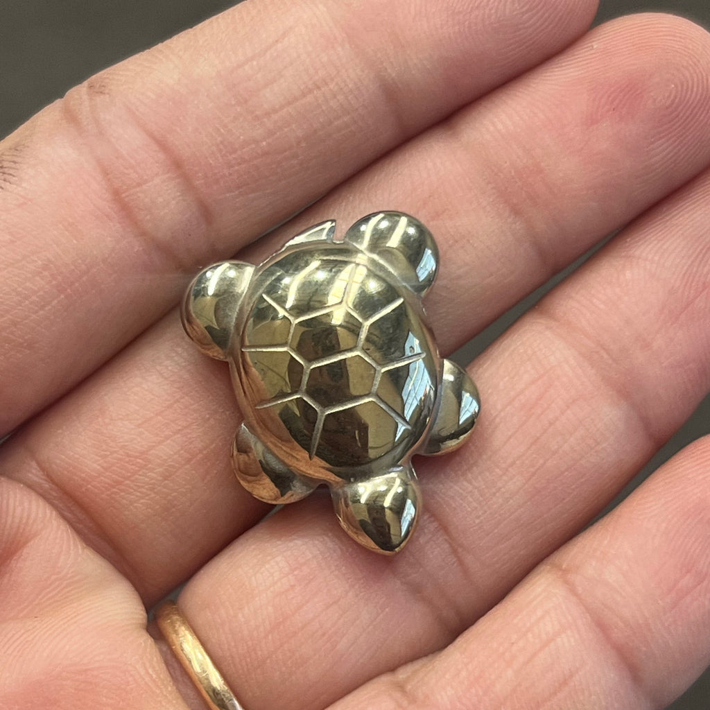 Pyrite turtle
