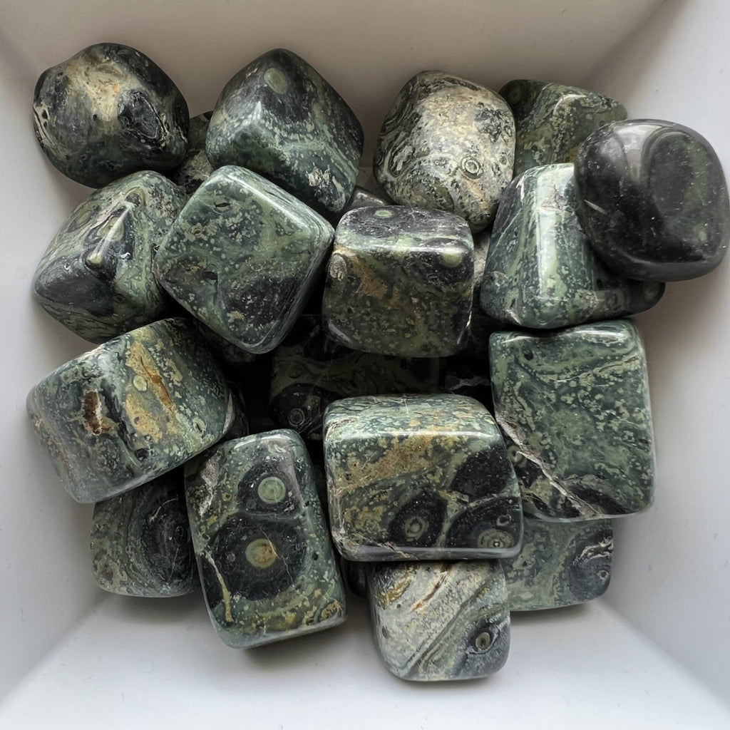 Kambaba Jasper Tumbles image 1