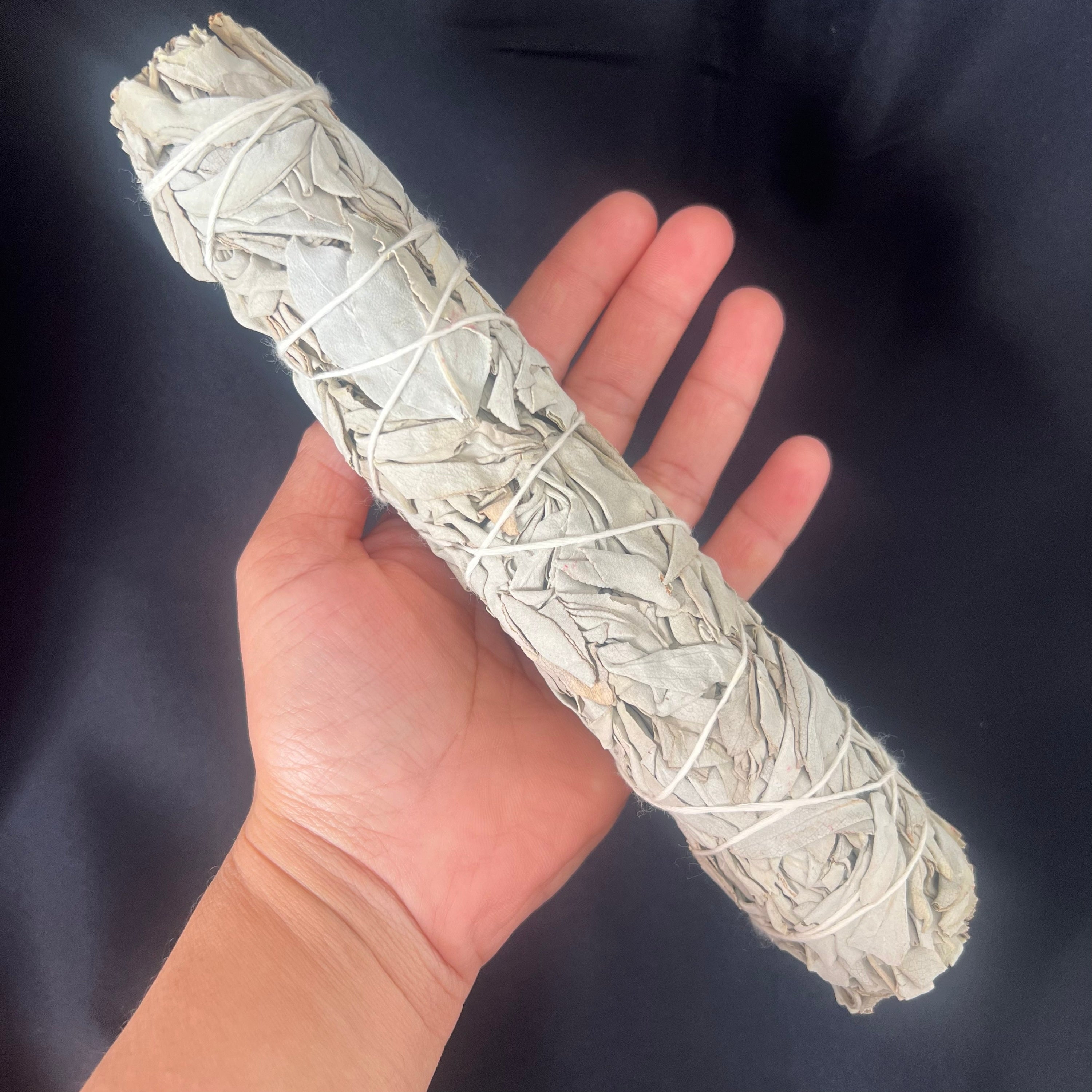 20” White Sage image 0