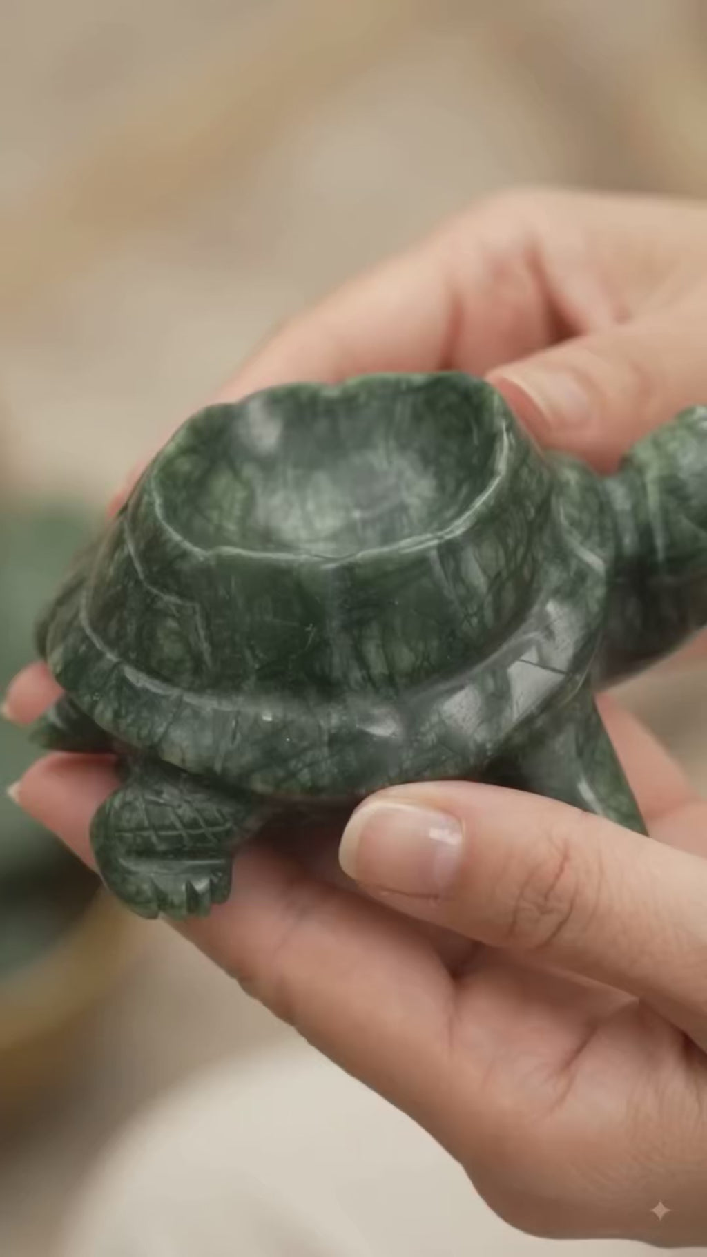 Jade Wishing Turtle
