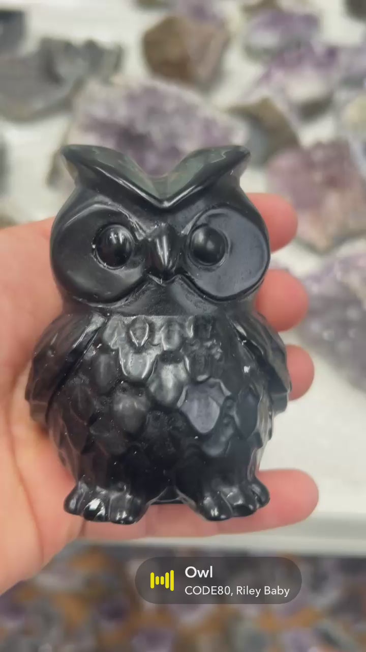 Obsidian Owl
