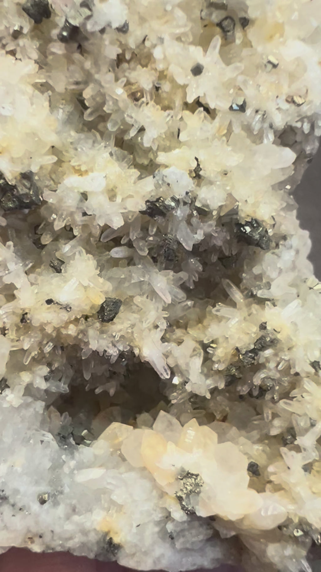 Rare Pyrite in Clear Quartz cluster