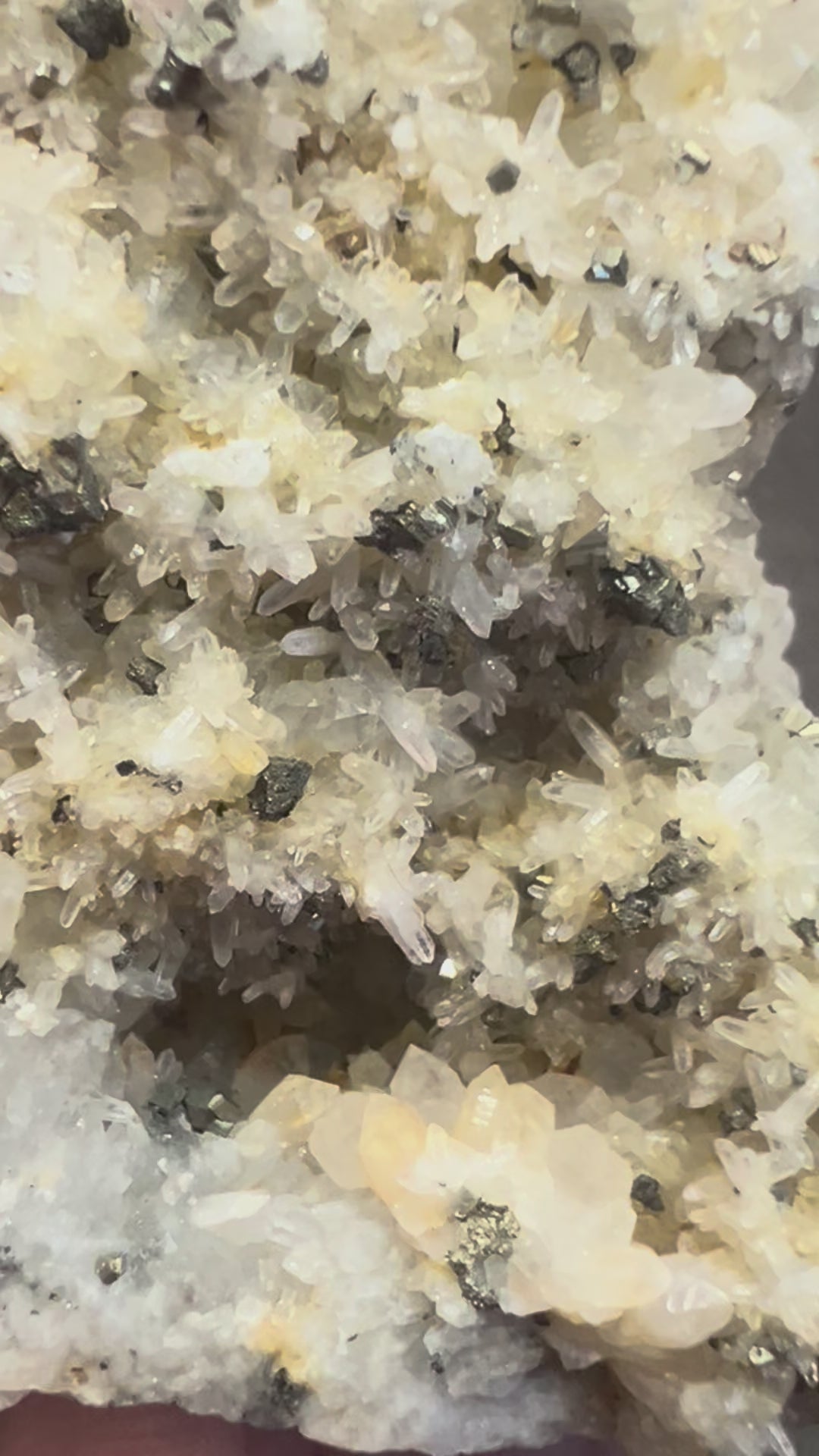 Rare Pyrite in Clear Quartz cluster
