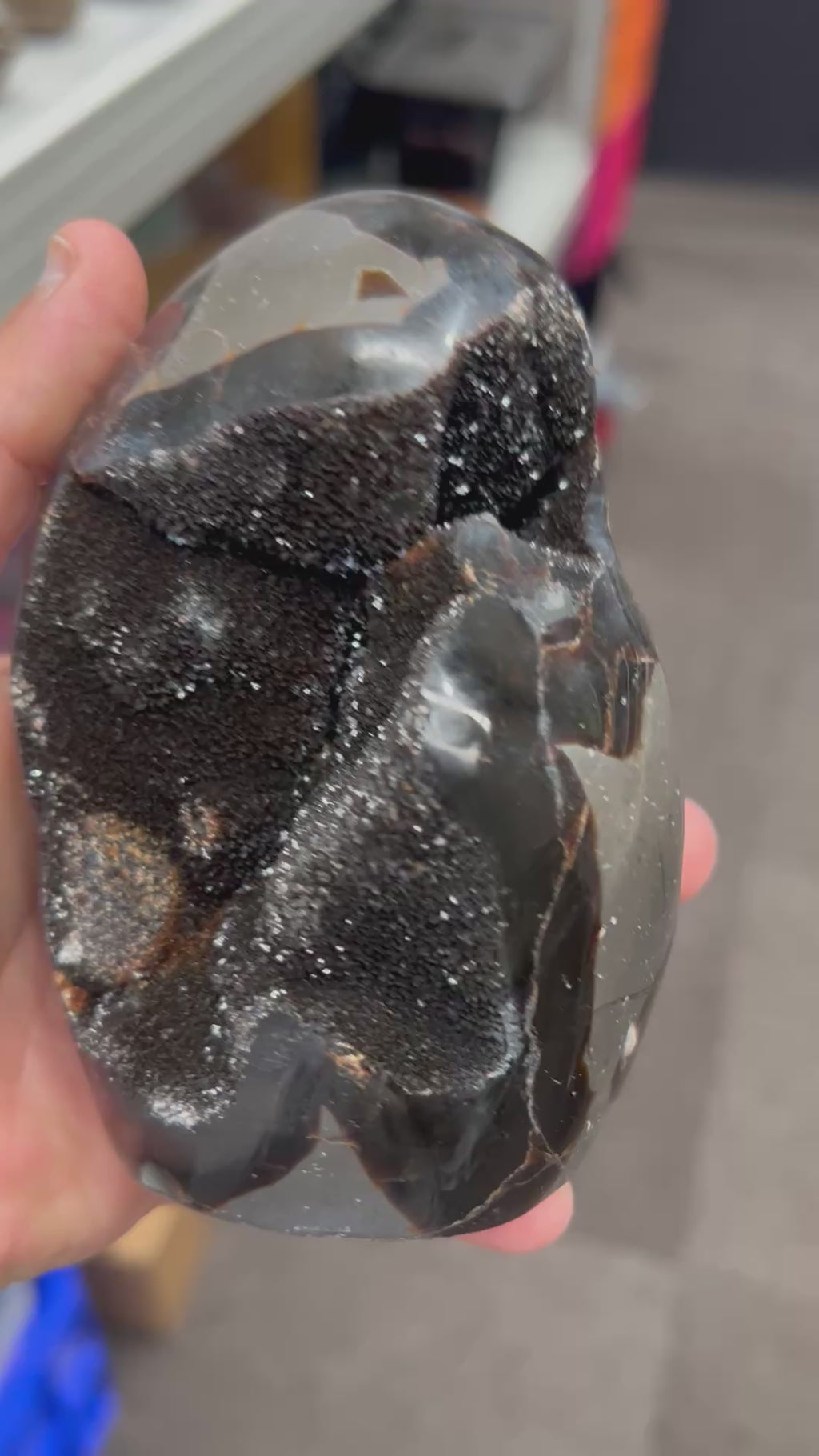 Septarian Egg / Drago’s Egg